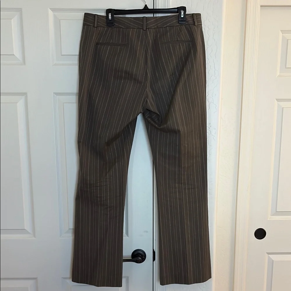 Tahari stylish brown