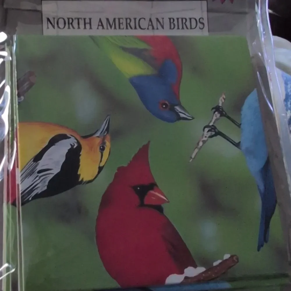 90s Vintage Scramble Squares North American Birds Puzzle NIP‎