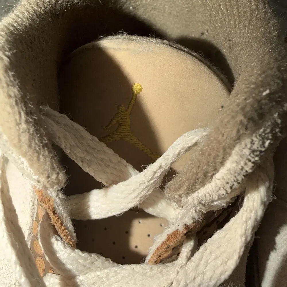 Jordan air palomino