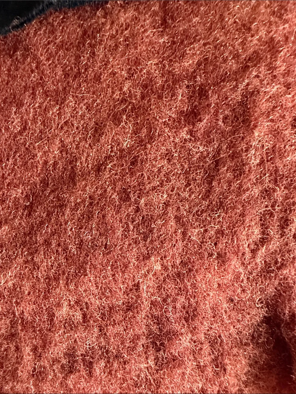 West Elm soft rust