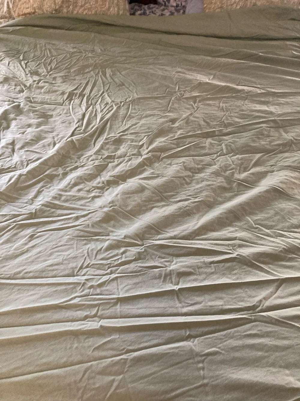 Pottery barn Green Paisley Home full/queen duvet and pillow shams