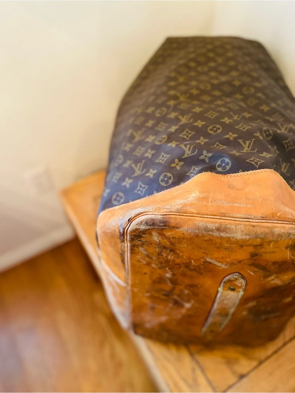 Louis Vuitton authentic louis