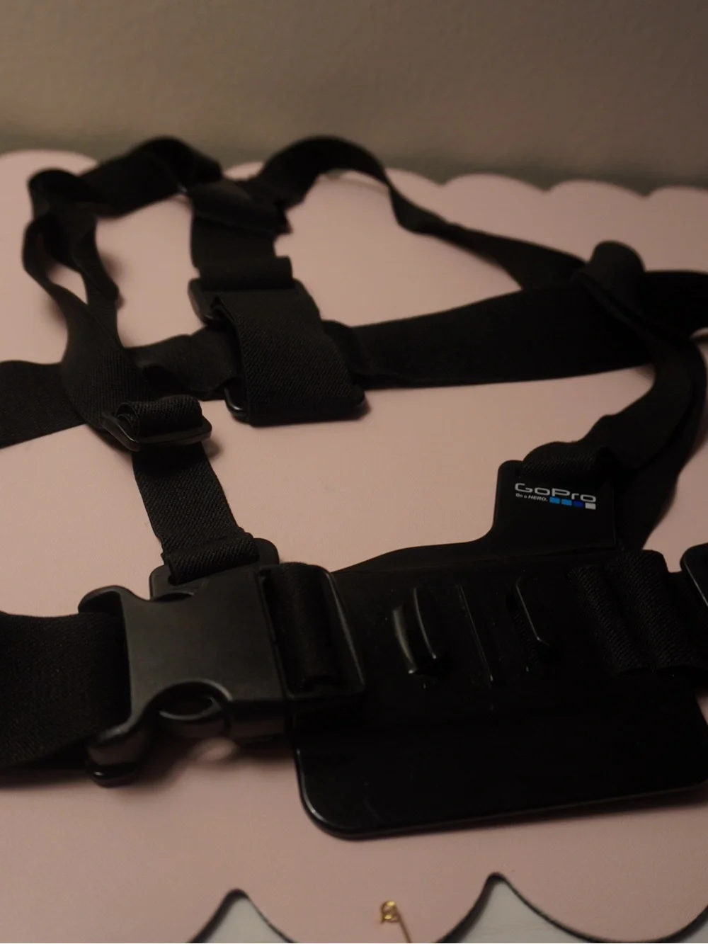 GoPro hands free
