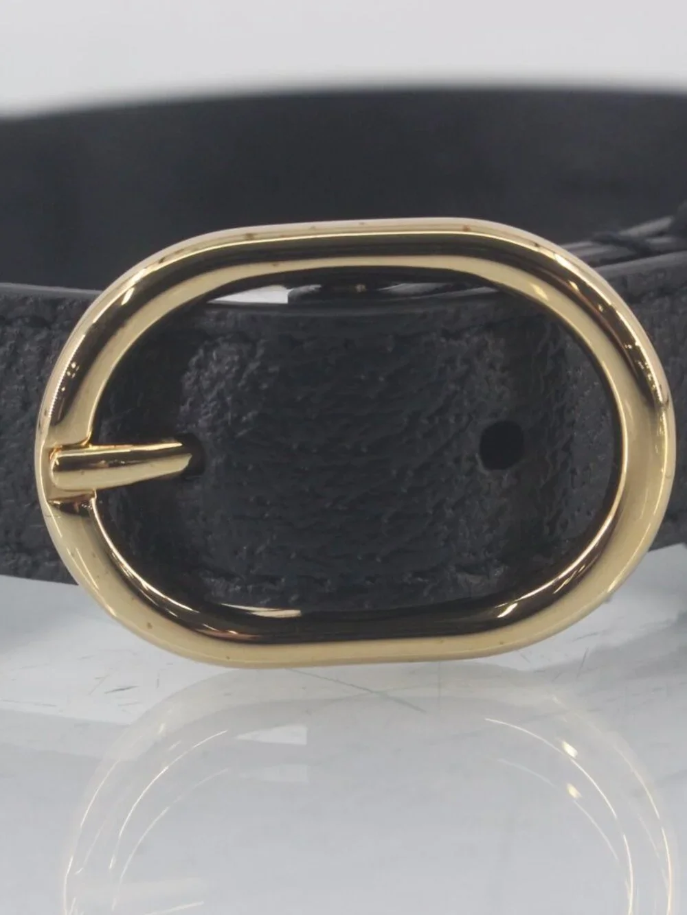 Gucci dog collar