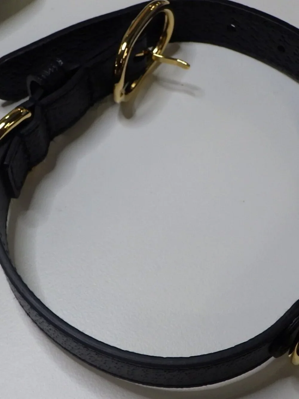 Gucci dog collar