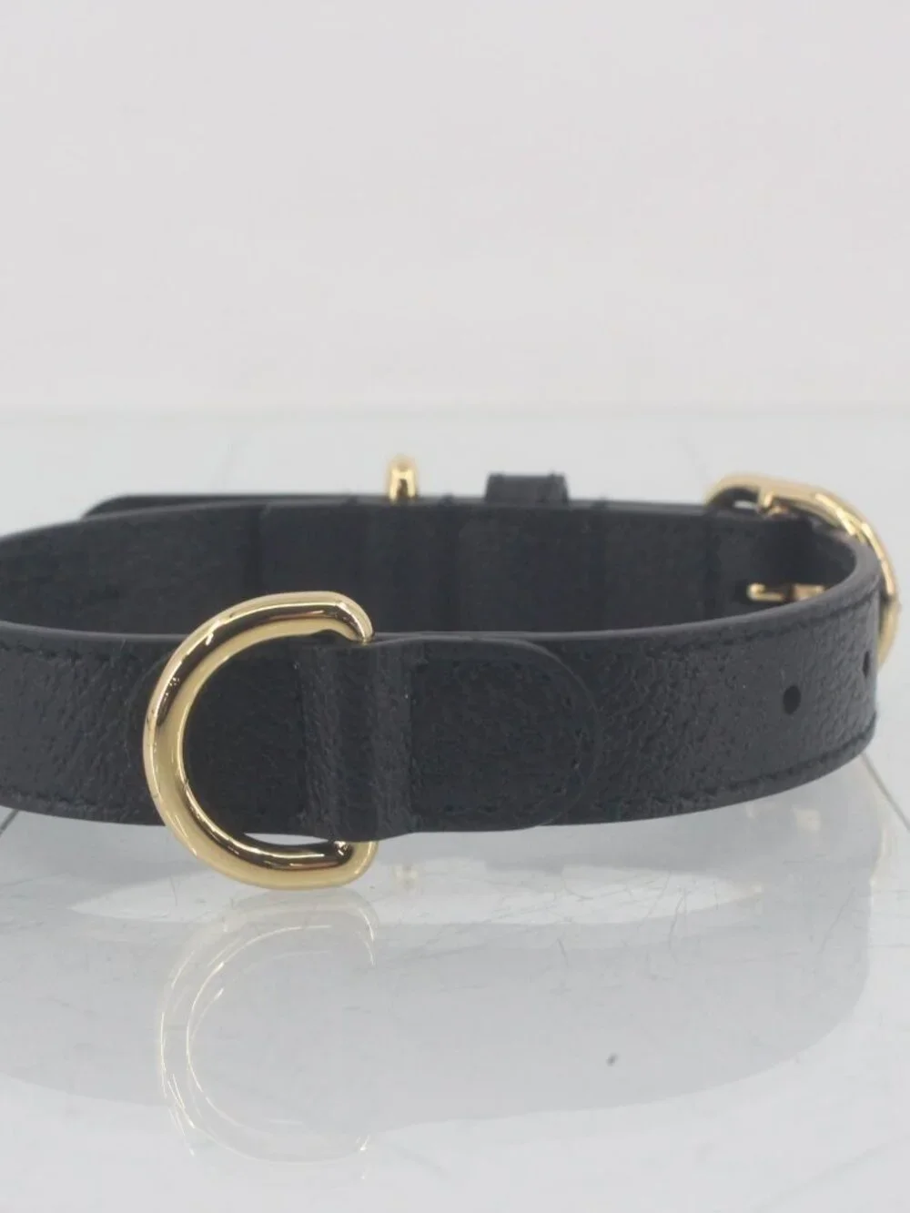 Gucci dog collar