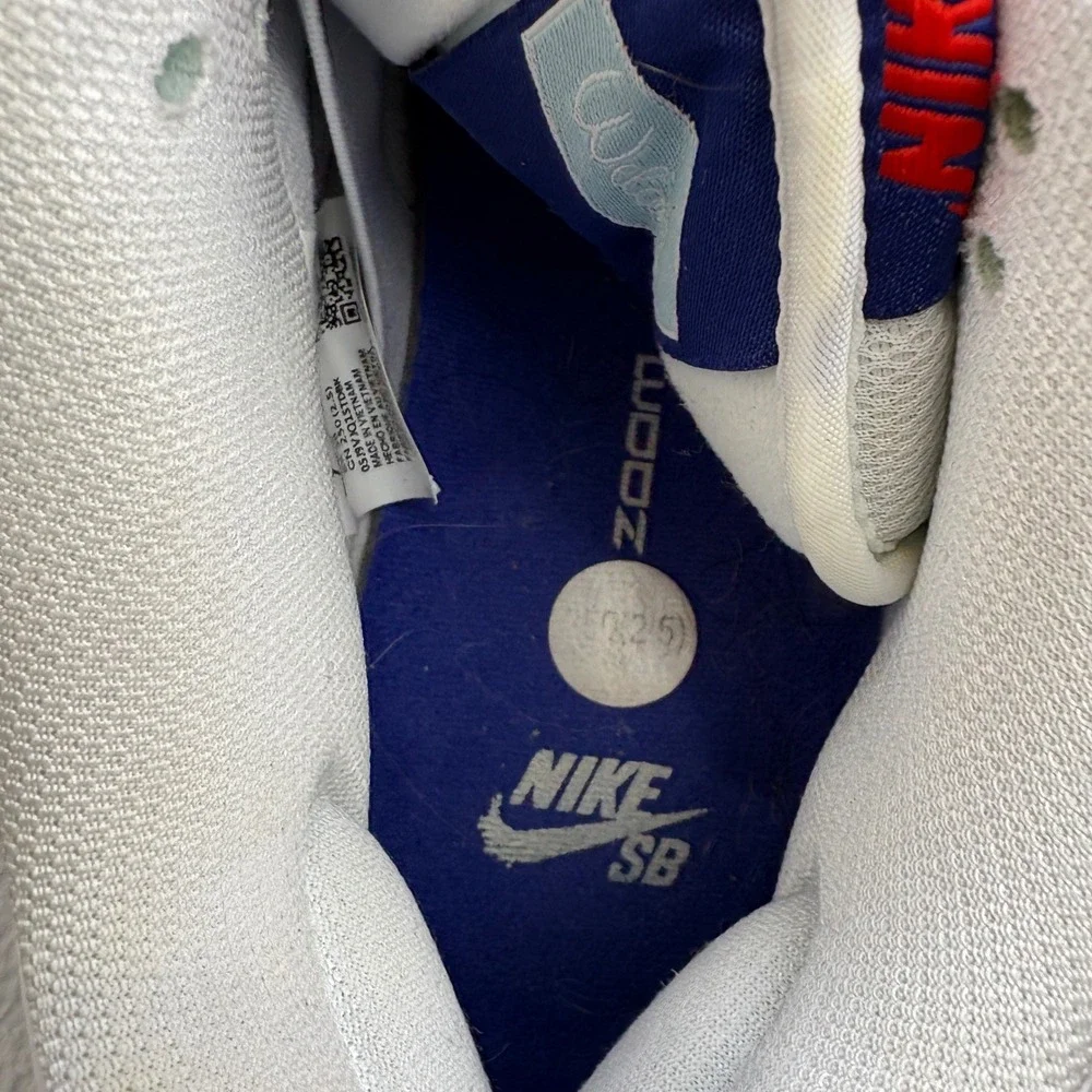 Nike SB every leather items