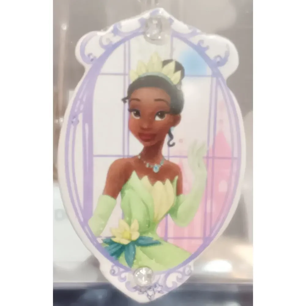 Disney princess shower