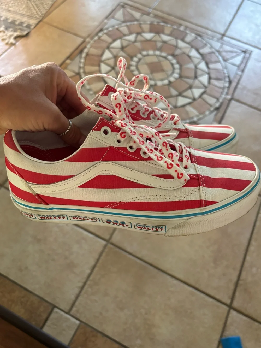 Vans iconic low