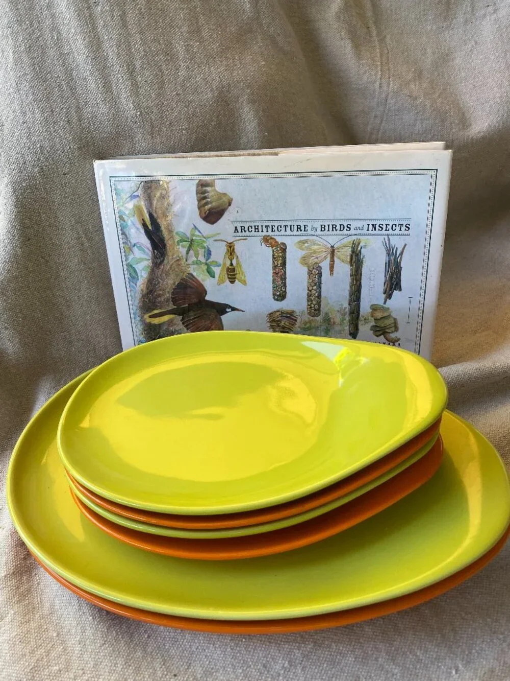 Crate & Barrel Ceramic Oval Egg-Shaped Appetizer Snack Plates - Set of 6