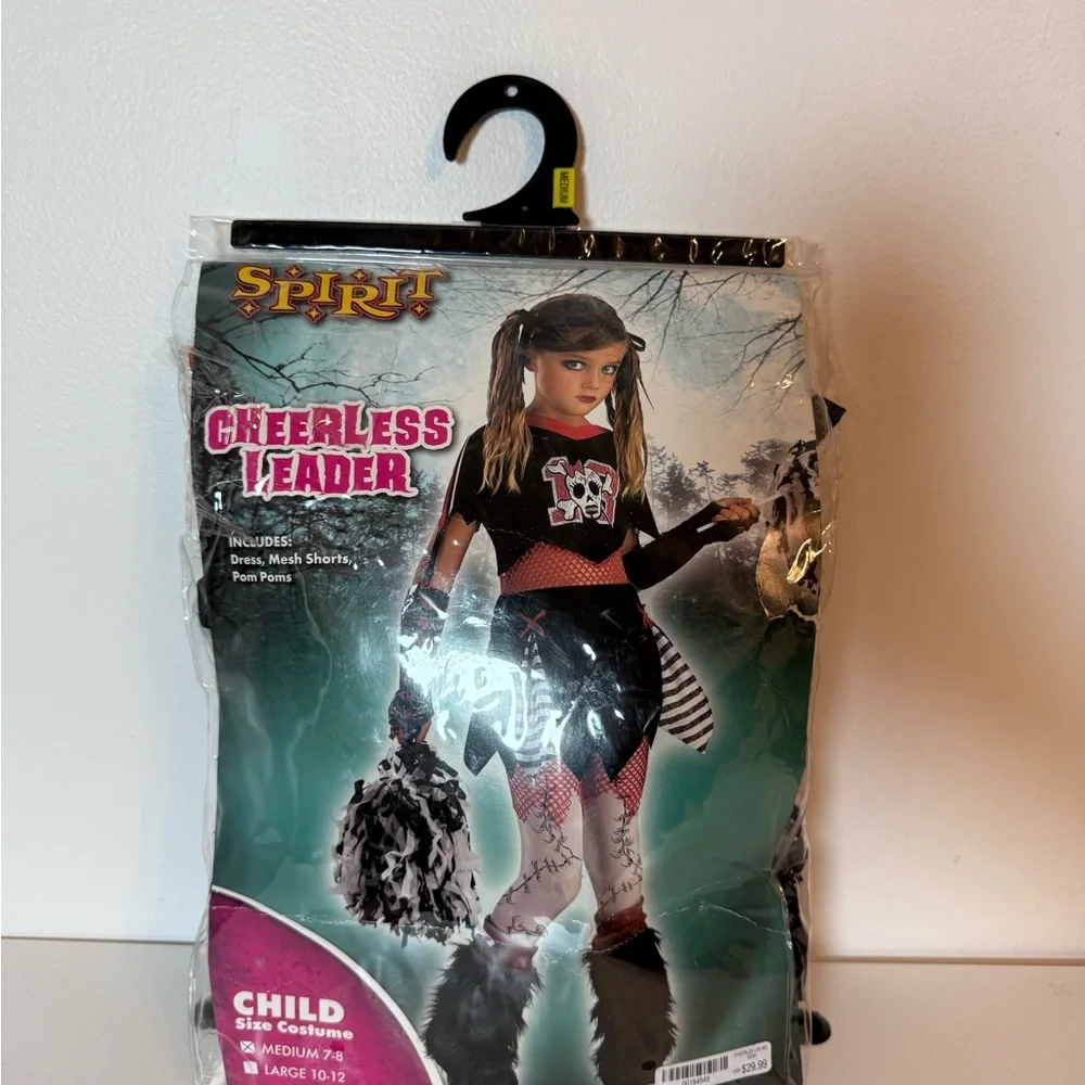 Spirit cheerless leader