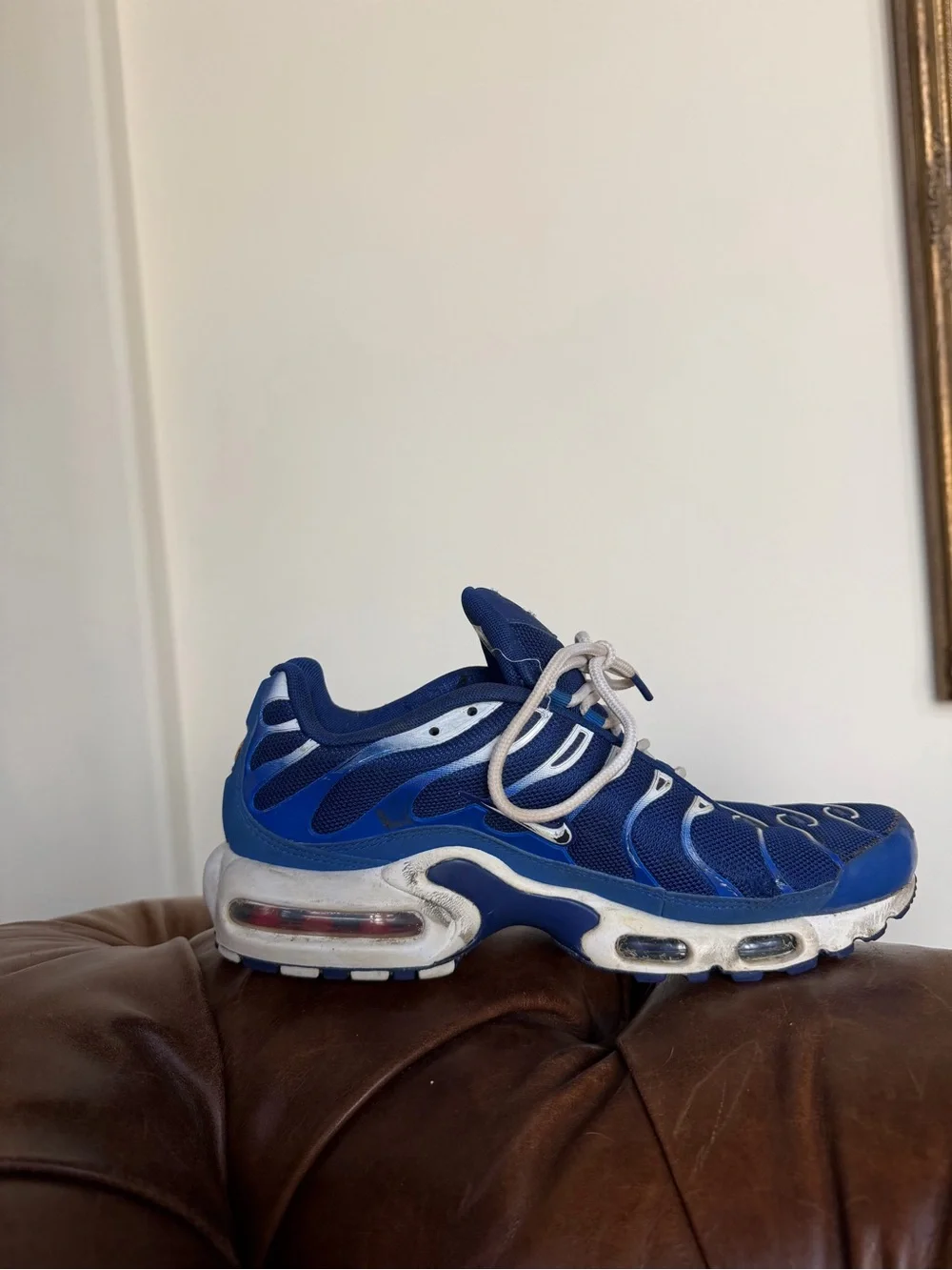 Nike Air Max Plus TN Arctic Chill Men’s Size 8 Royal Blue White