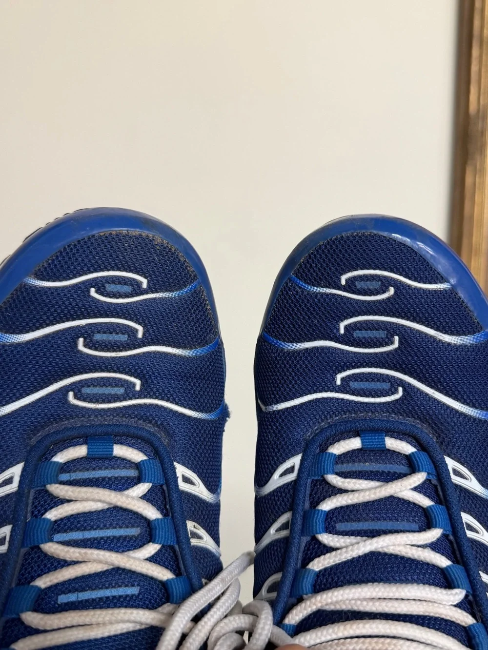 Nike Air Max Plus TN Arctic Chill Men’s Size 8 Royal Blue White