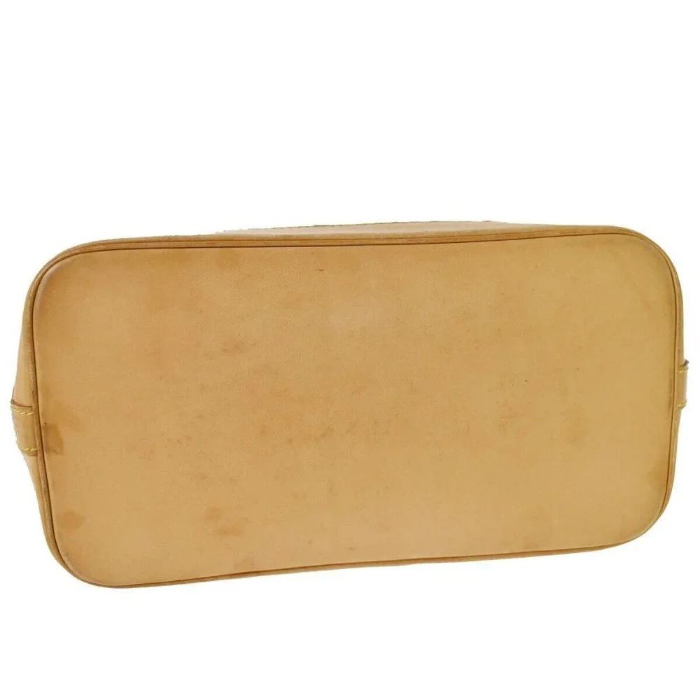Louis Vuitton brand louis