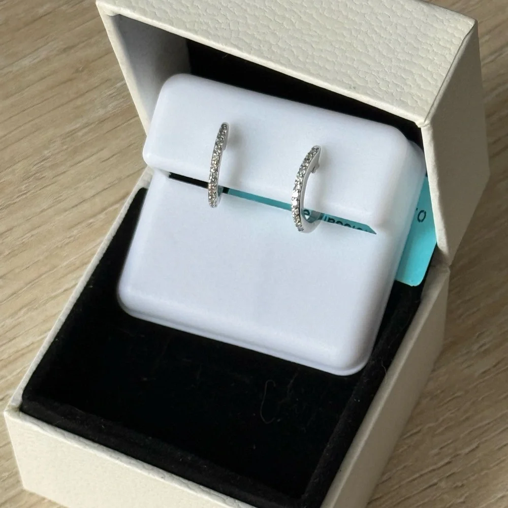 Sparkling Sterling Silver Hoop Moissanite Huggie Earrings