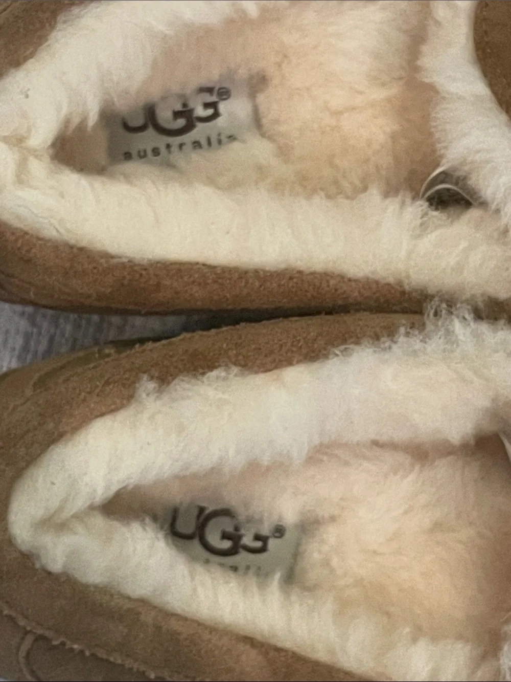 UGG uggs ascot