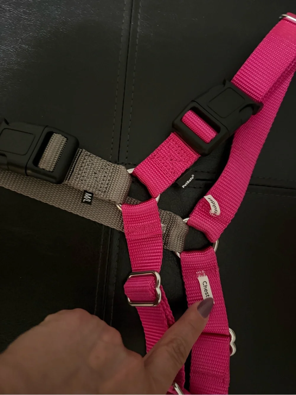 PetSafe hair leash