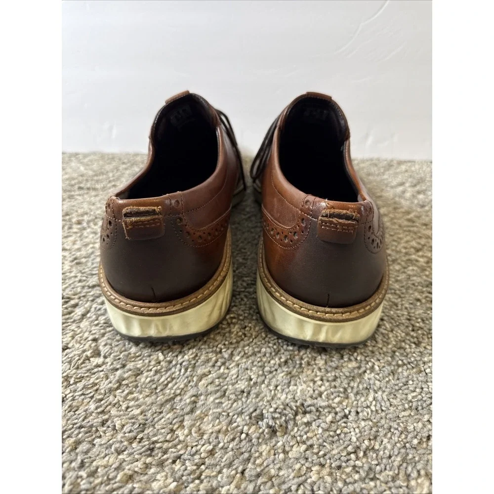 Ecco men st