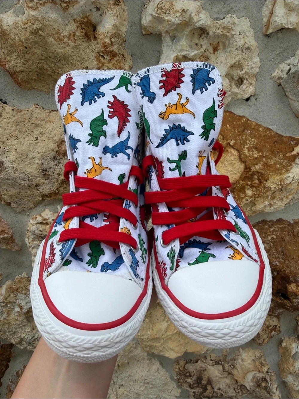 Converse dinoverse high