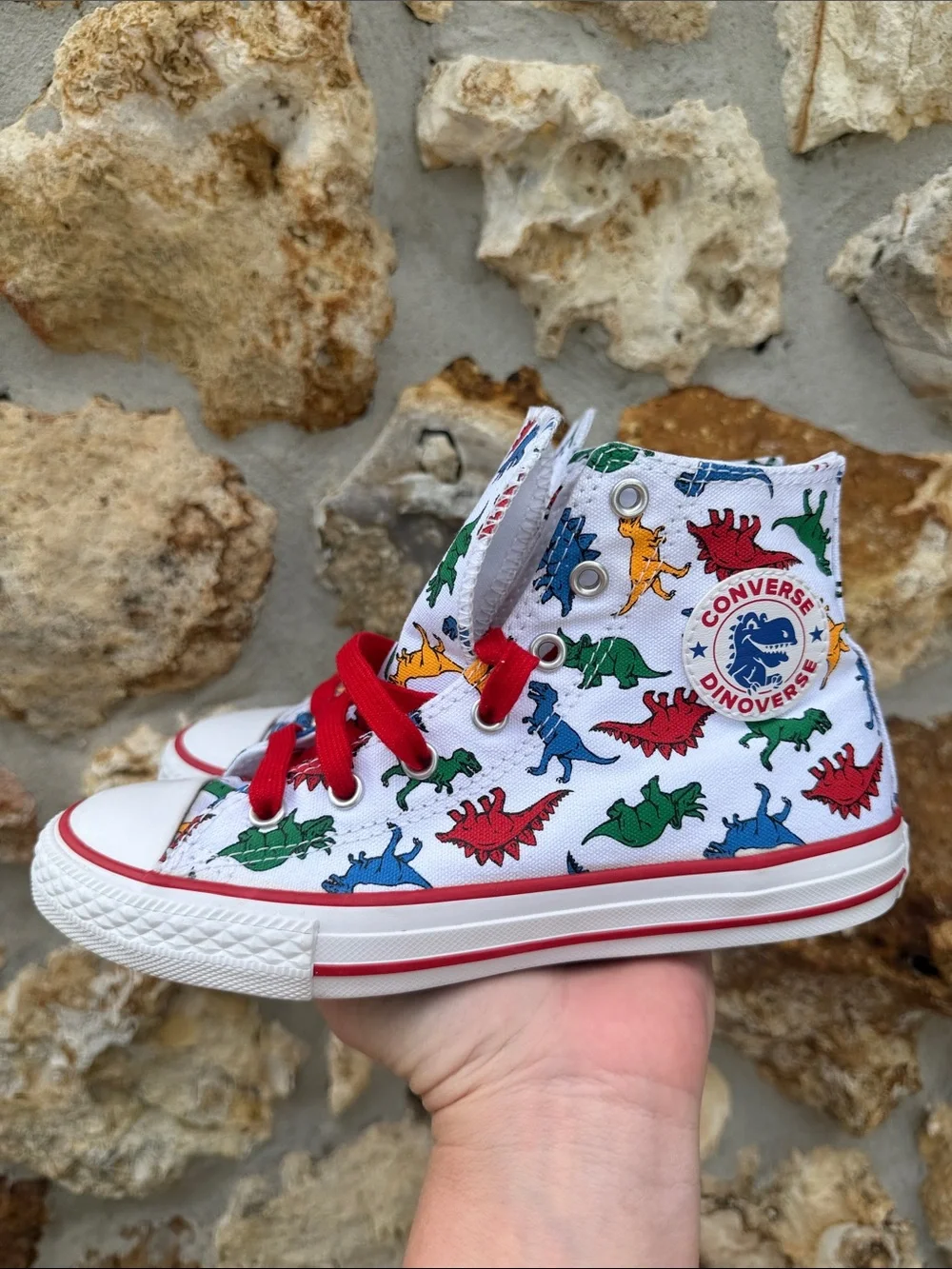 Converse dinoverse high