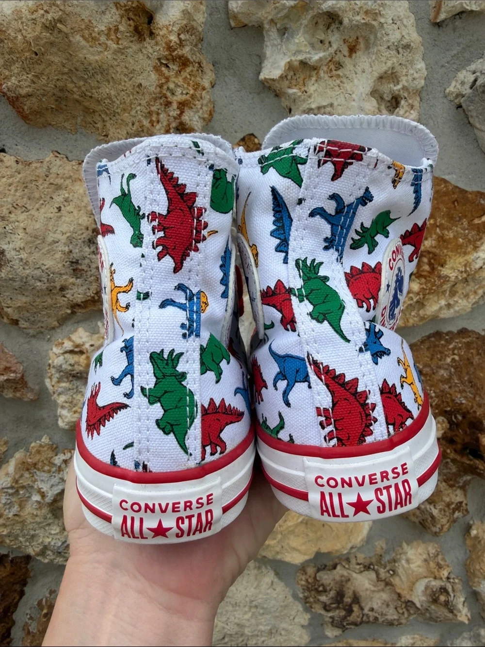 Converse dinoverse high