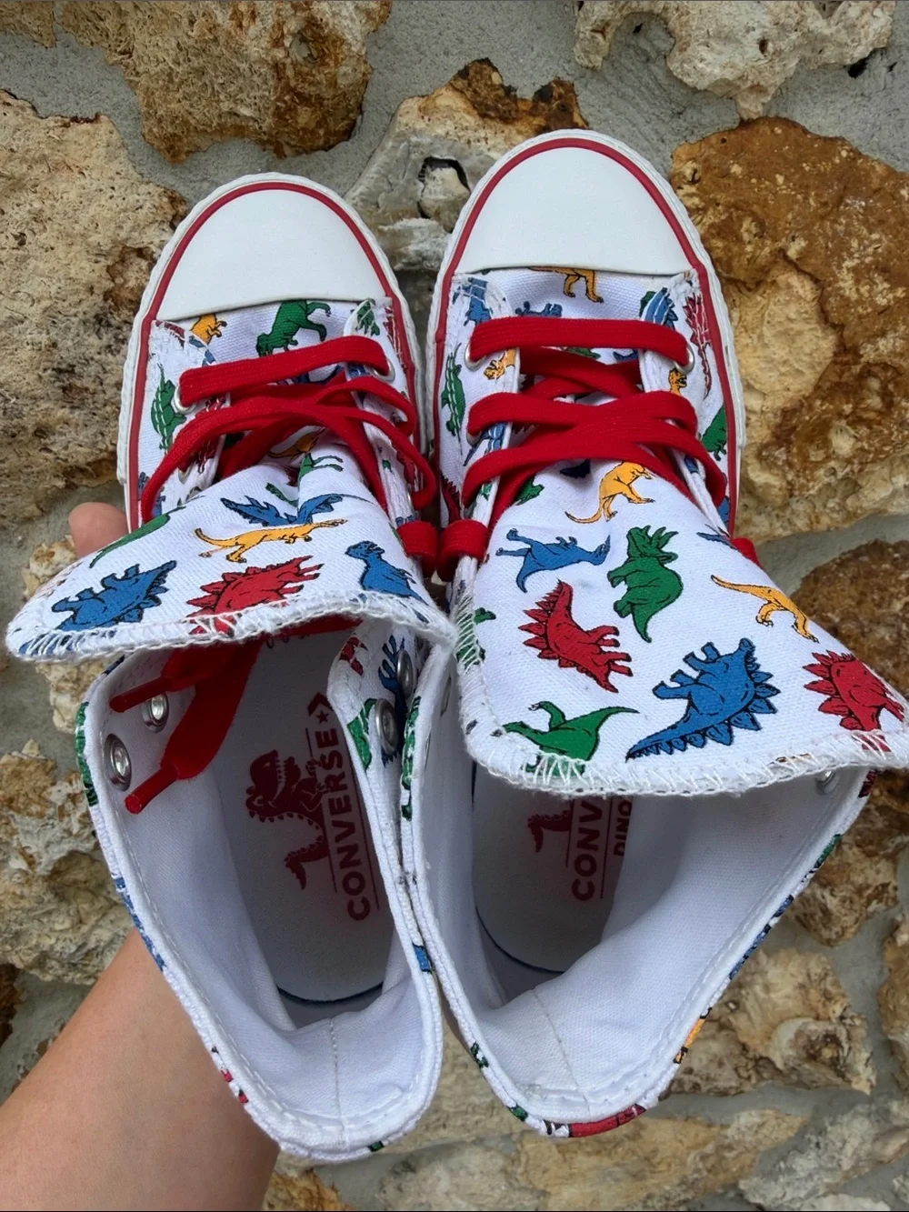 Converse dinoverse high