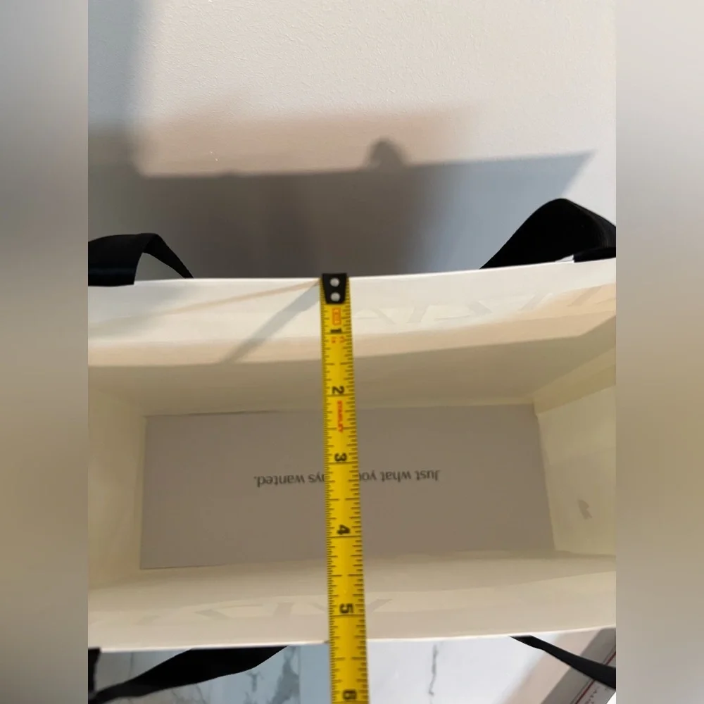 Aritzia gift bag