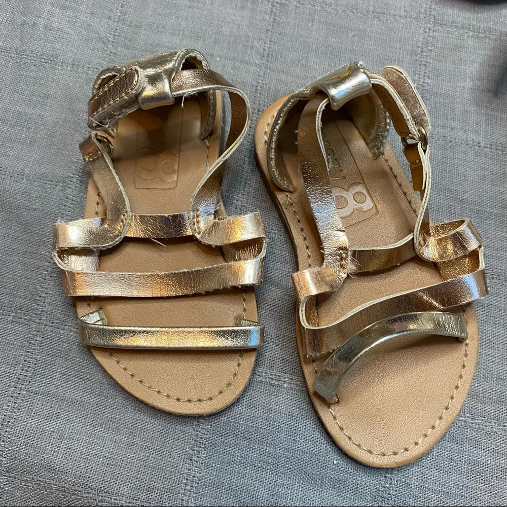 wonder nation signs buckle