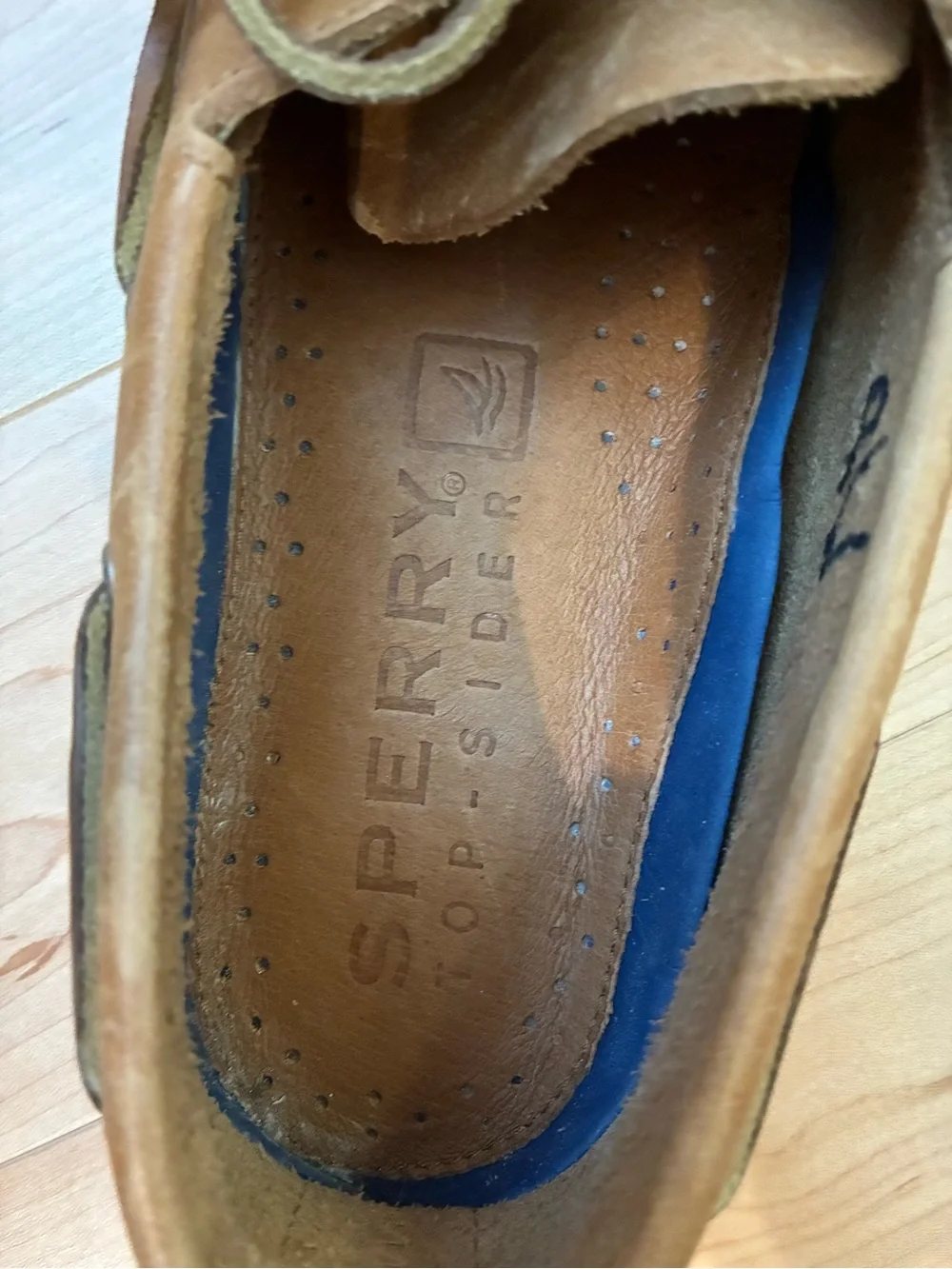 Sperry classic top