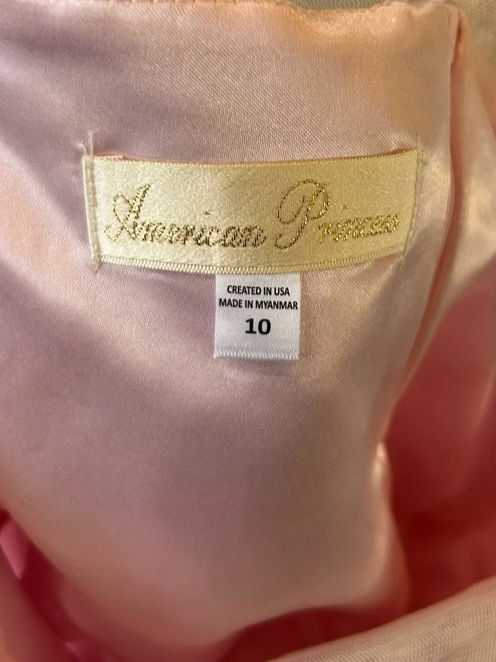 Girl’s American Princess Floral Embroidered Hi-Low Whimsical Dress Size 10