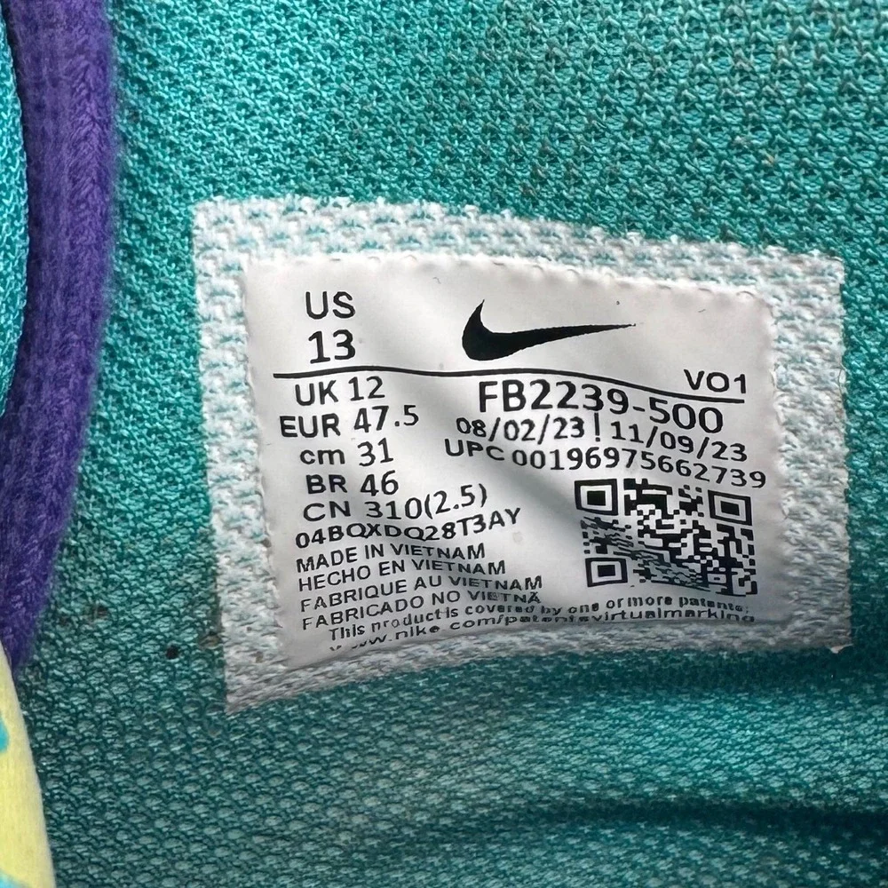 Nike lebron witness
