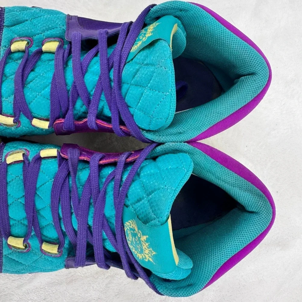 Nike lebron witness