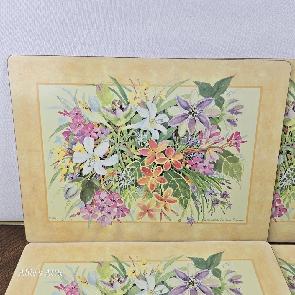N/A placemats cork