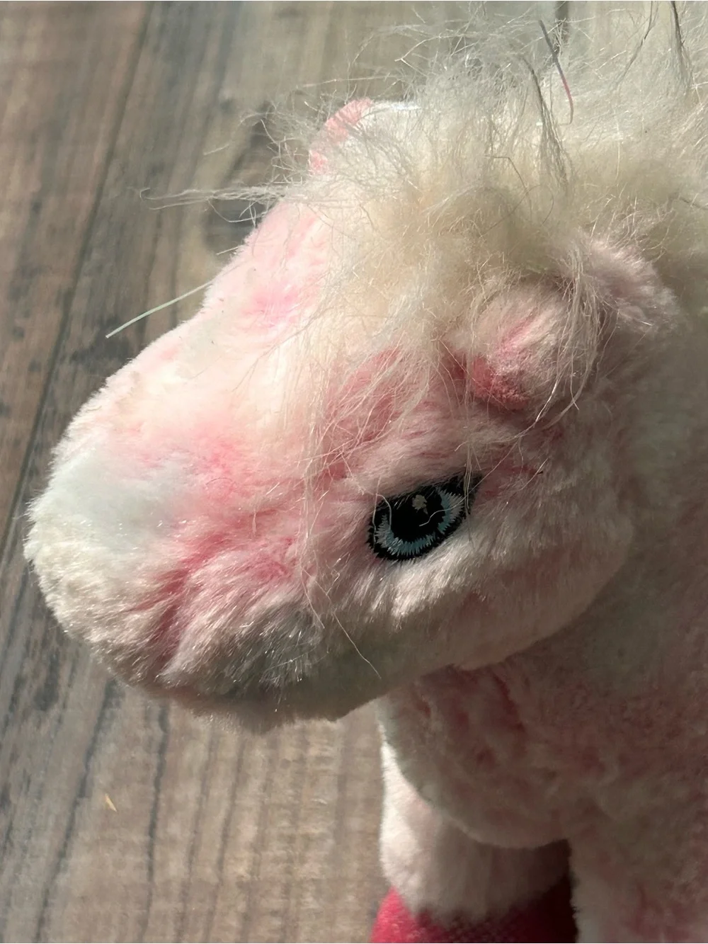 webkinz may possible