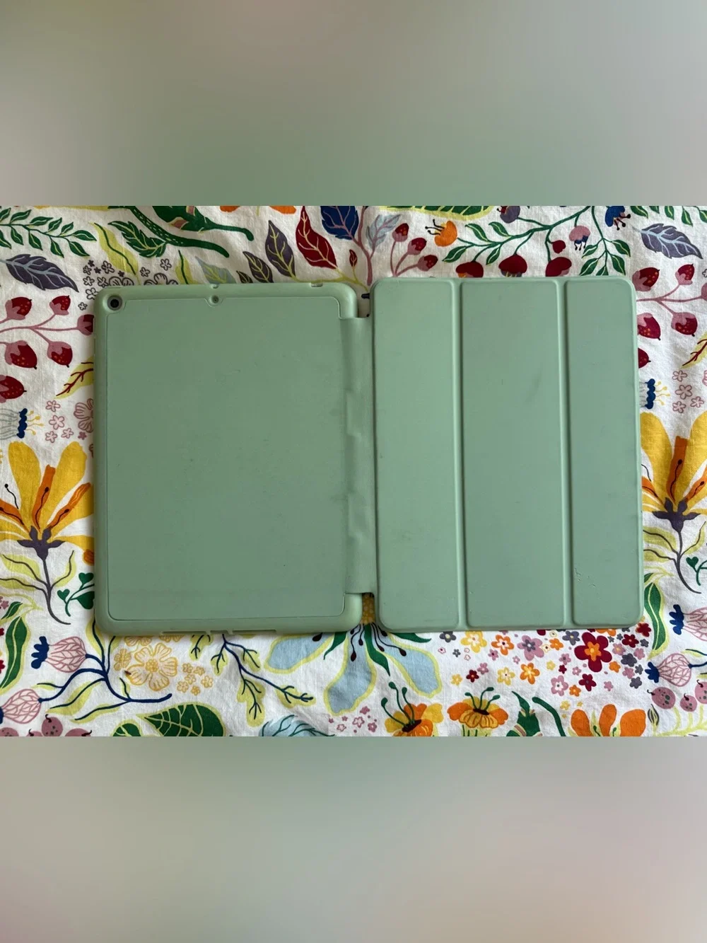 Apple iPad + Green Case