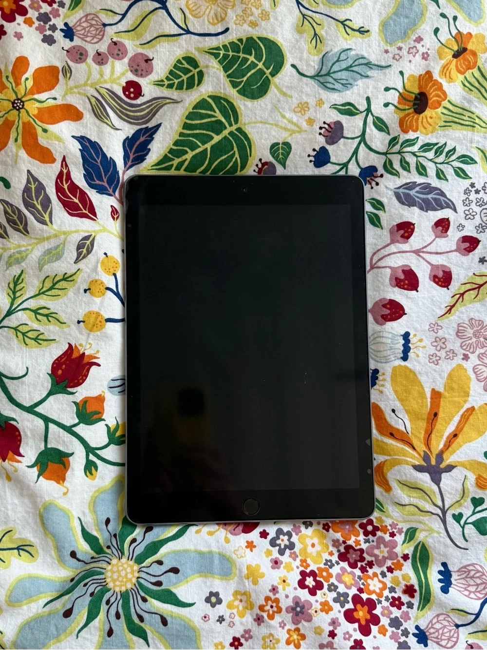 Apple iPad + Green Case