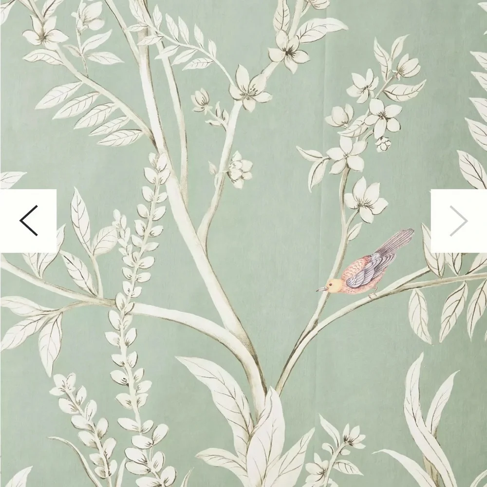 Anthropologie enhance your