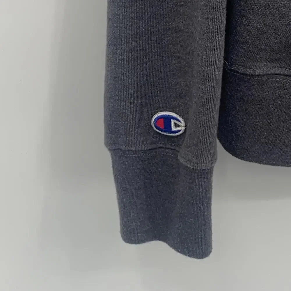 Champion Men's Classic Pullover Hoodie - Gray Size Small