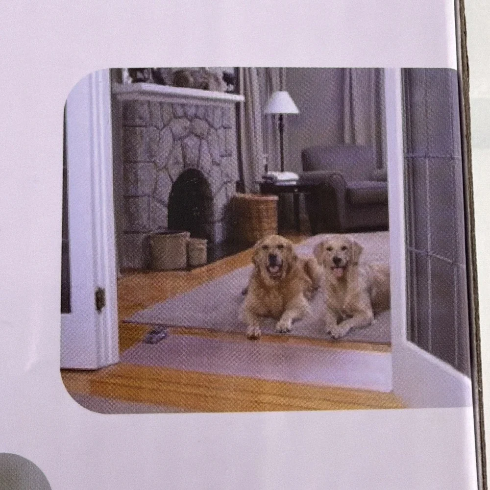 Source Unknown indoor dog