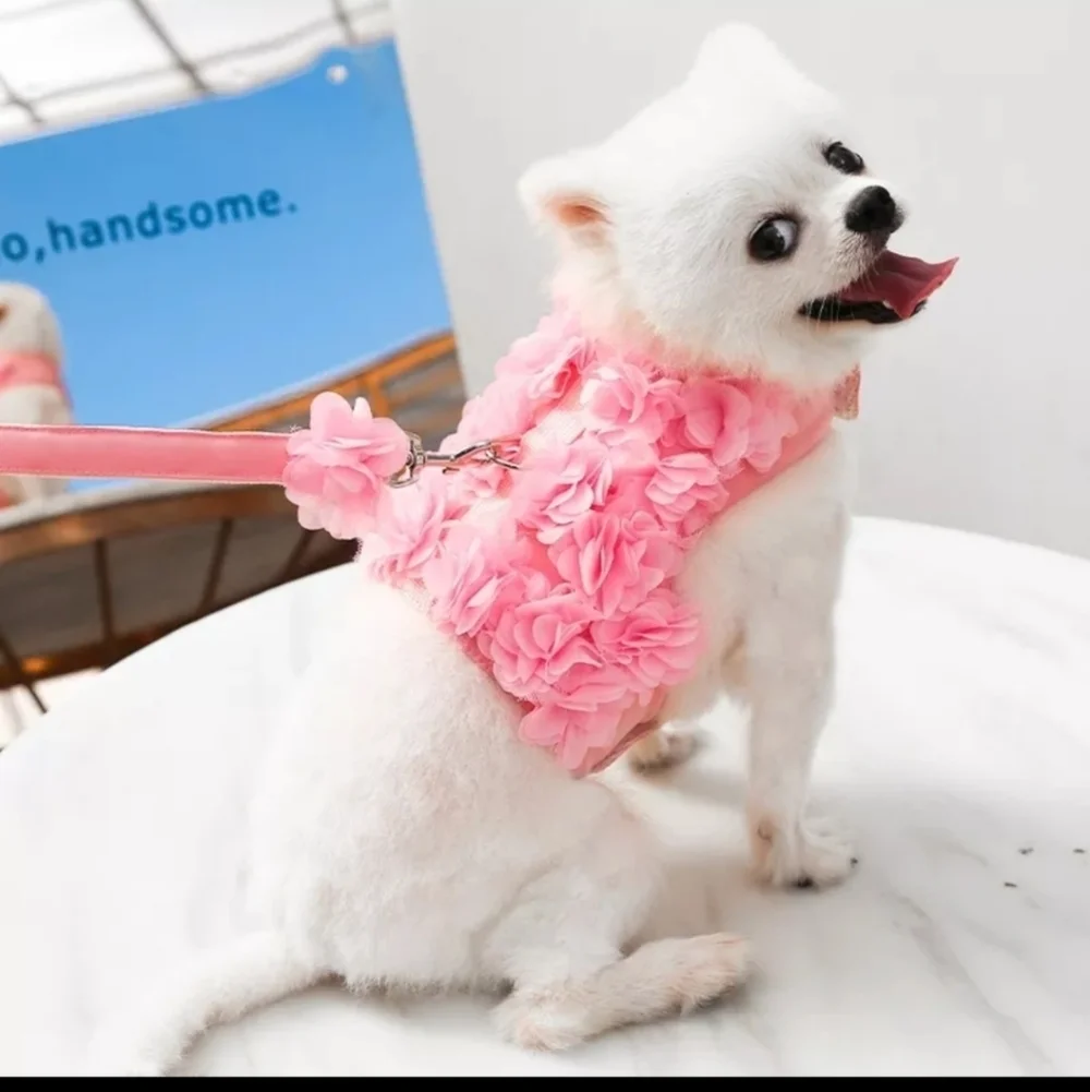 Pink ruffle dog harness and leash