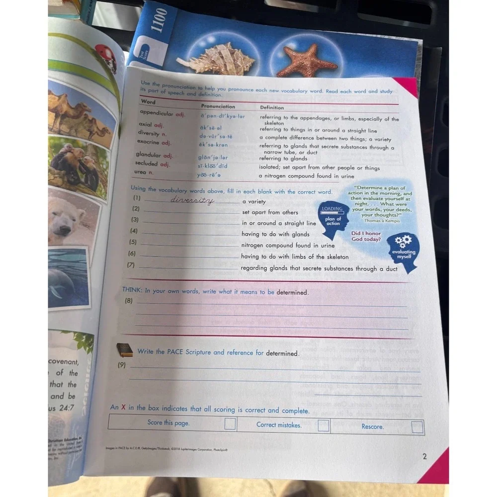 N/A homeschooling workbook