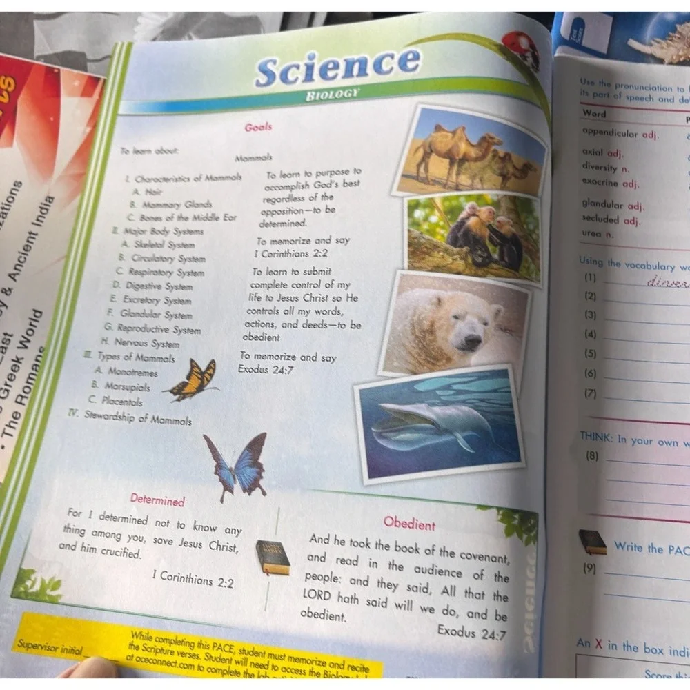 N/A homeschooling workbook