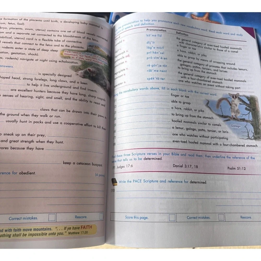 N/A homeschooling workbook