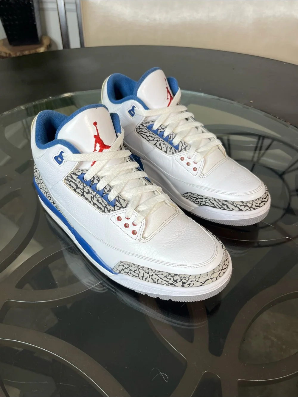 Jordan iconic basketball