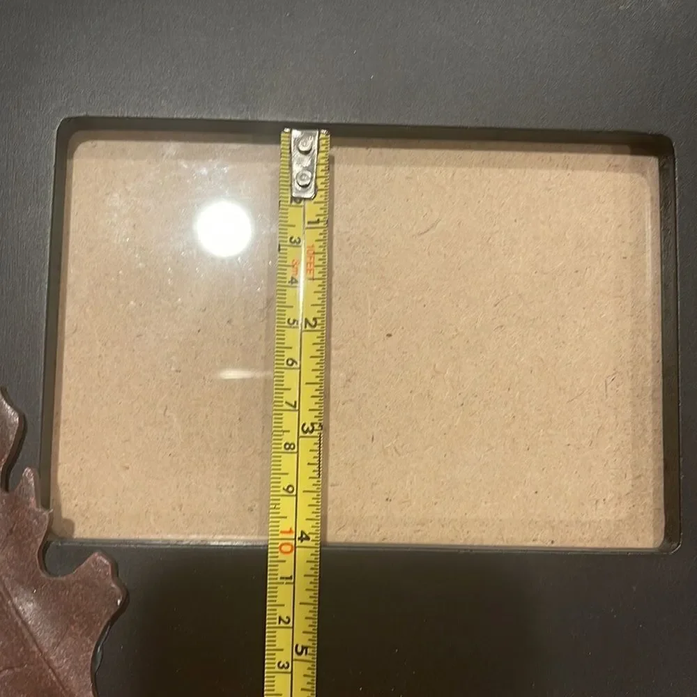 Pier 1 Leaf application picture frame bundle (2)