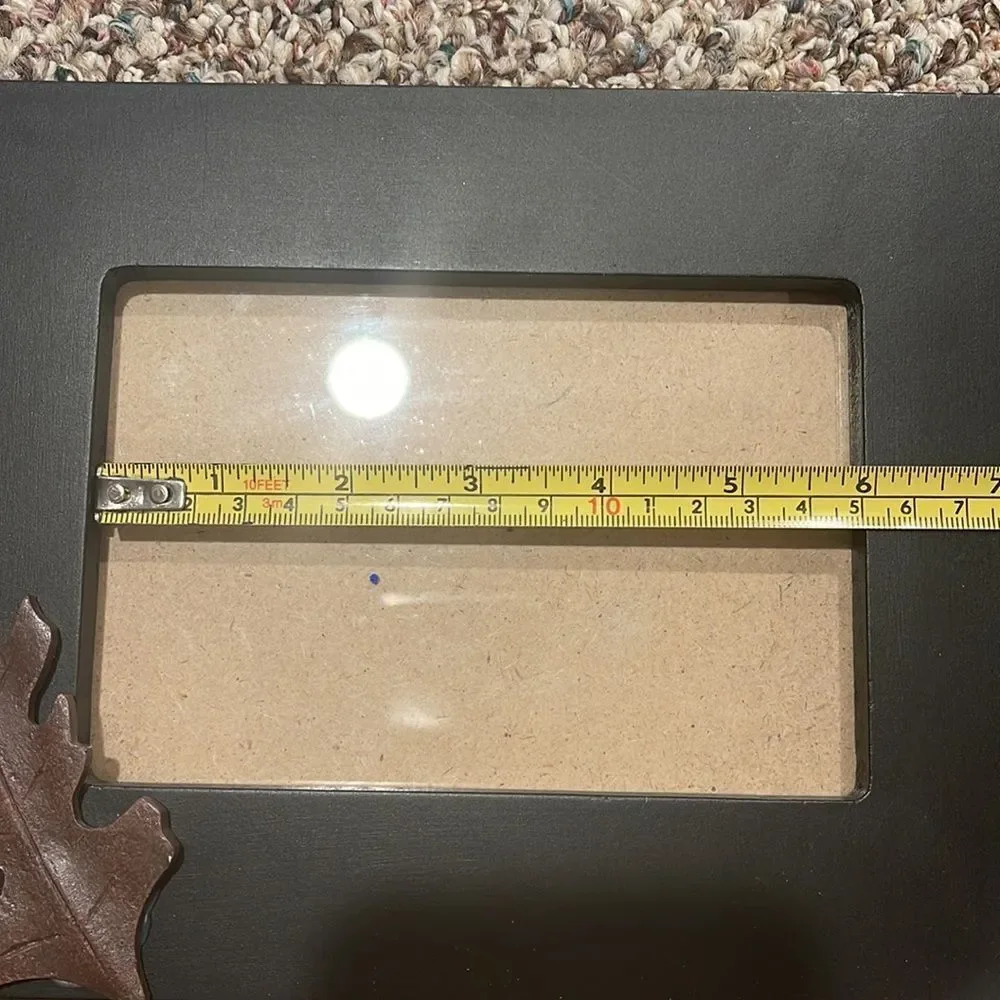 Pier 1 Leaf application picture frame bundle (2)