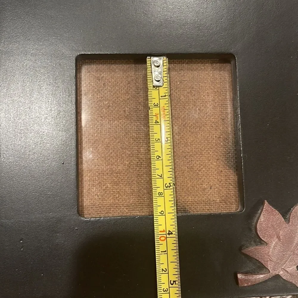 Pier 1 Leaf application picture frame bundle (2)