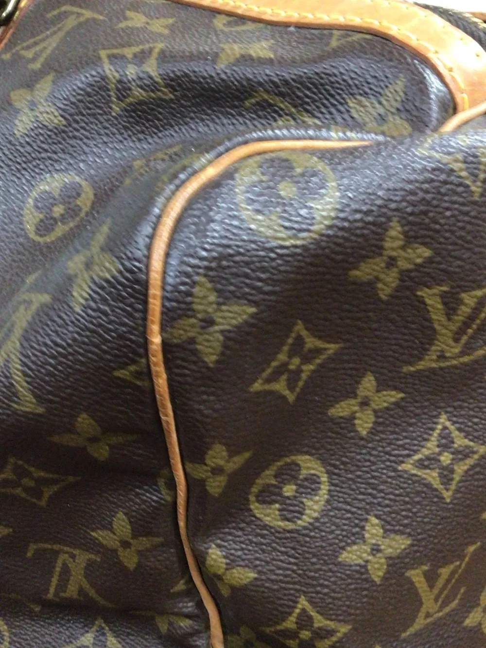 Louis Vuitton spacious louis