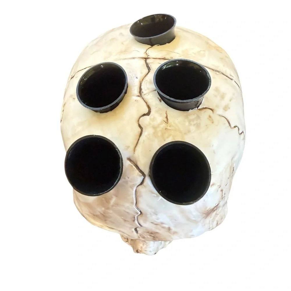 N/A realistic skull