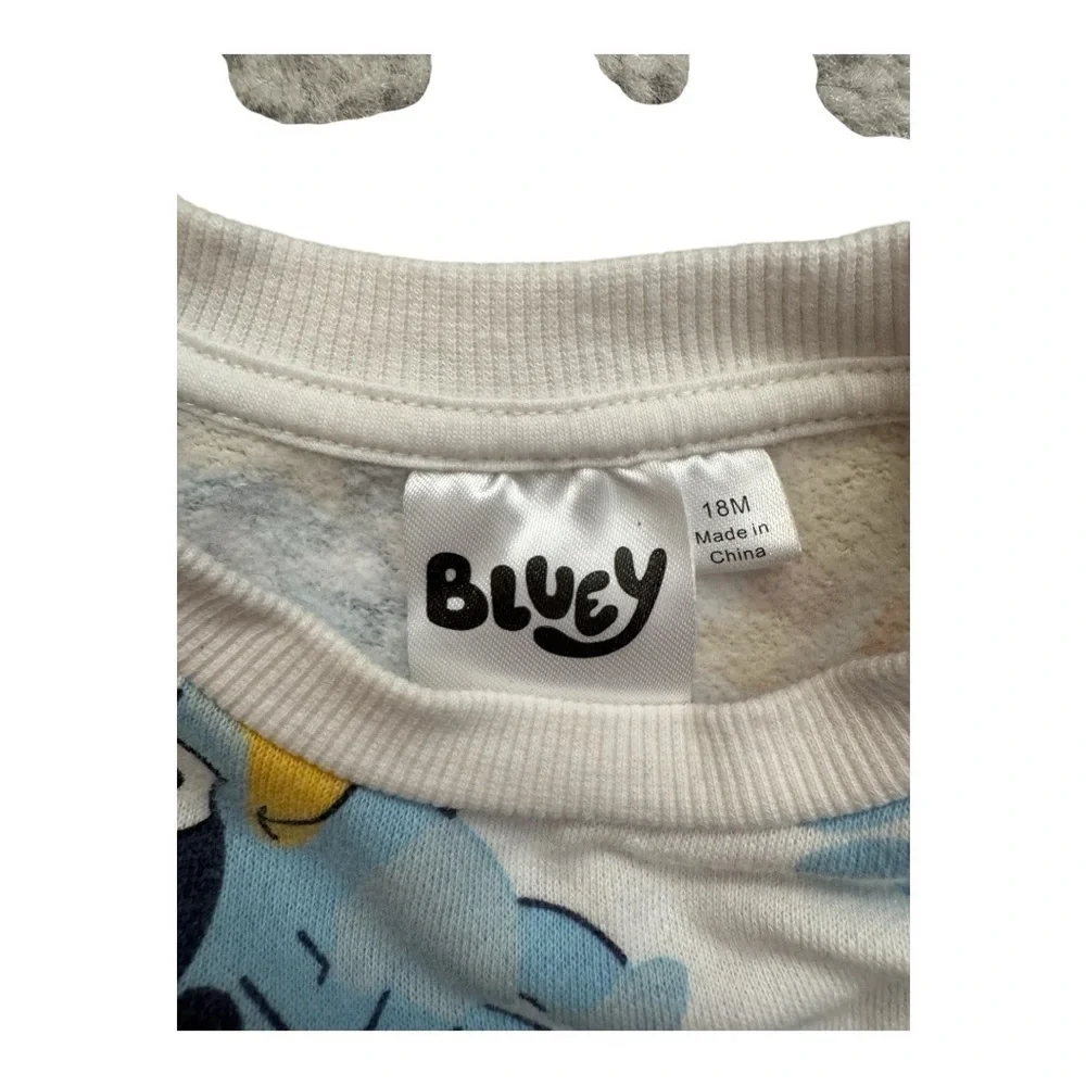 Bluey months polyester 60%